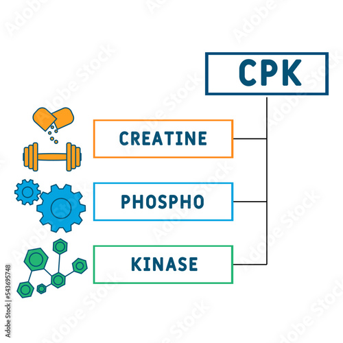 CPK Creatine Phosphokinase  acronym. business concept background.  vector illustration concept with keywords and icons. lettering illustration with icons for web banner, flyer, landing 