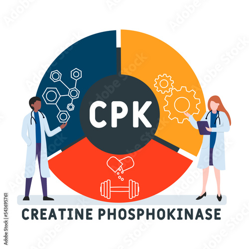 CPK Creatine Phosphokinase  acronym. business concept background.  vector illustration concept with keywords and icons. lettering illustration with icons for web banner, flyer, landing 