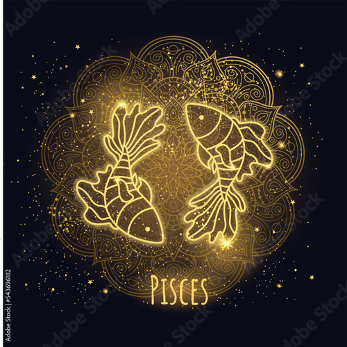 Colorful zodiac sign pisces vector lineart.