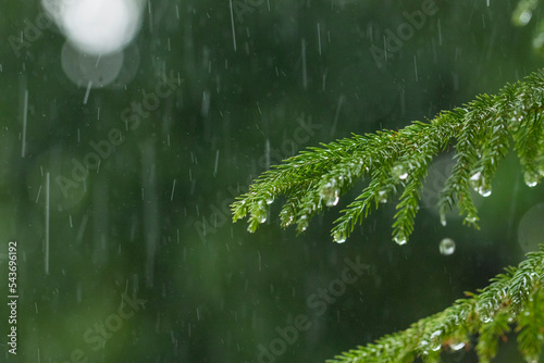 Various views of the monsoon season 