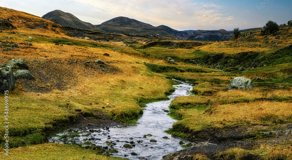 Cotopaxi National Park Landscape Scene Cotopaxi National Park Landscape Scene