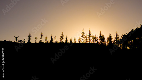 adventurous cyclist's touring trip and after camping in the woods © emerald_media