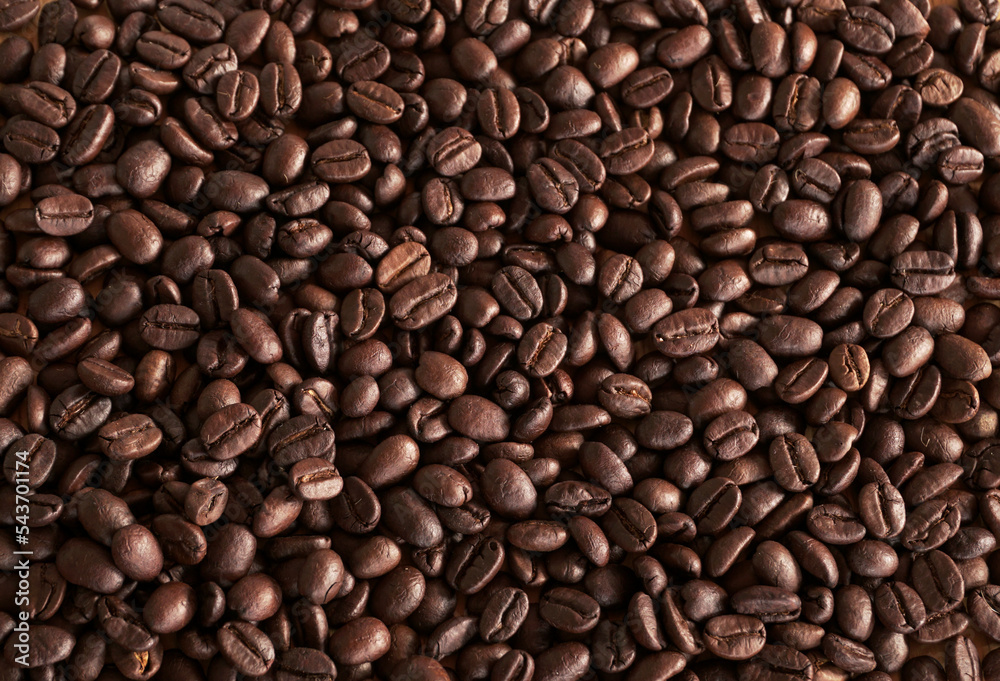 coffee beans on wood table. coffee seed coffee beans on wood table. coffee seed