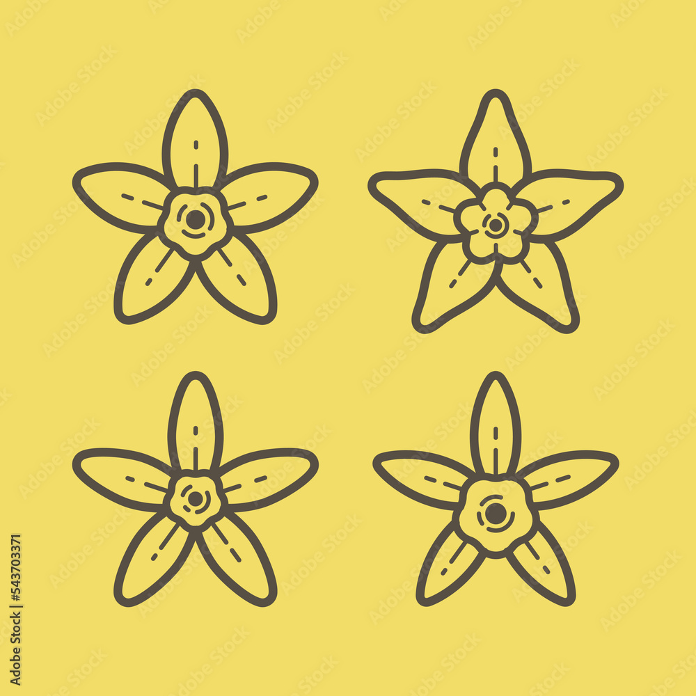 The flower of vanilla. Stylized emblem of flower bud. The flower of vanilla. Stylized emblem of flower bud.