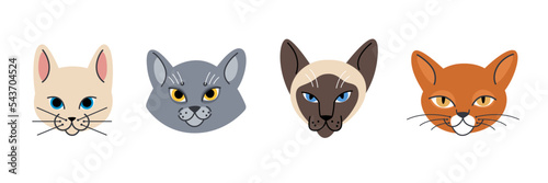 Cartoon illustration of cat head. Different type of cats. Vector illustration for prints, clothing, packaging, stickers.