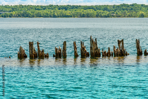 Coastal erosion on Huron Lake water and old withered wooden dock posts. Climate change Georgian Bay near Spirit Rock Conservation Area at Wiarton, Ontario, Canada.