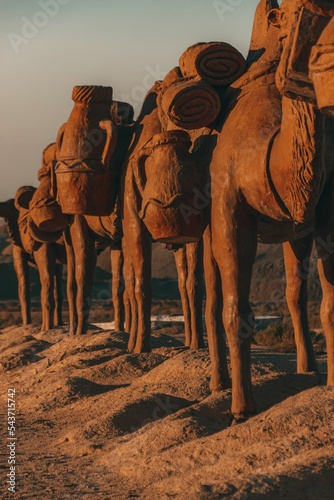 Vertical shot of working camels with cargo on the Great Silk Road at sunset