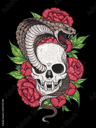 Vampire Skull, cobra snake and flowers hand drawn illustration. Tattoo vintage print. Hand drawn floral print. Tattoo design.