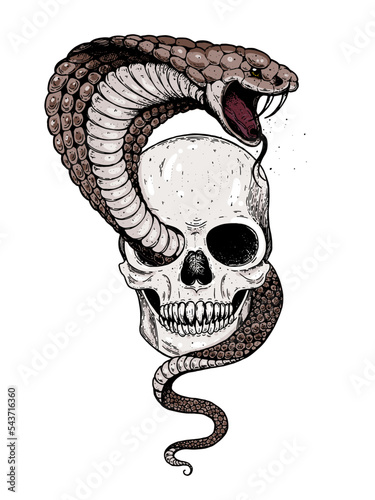 Skull and cobra snake hand drawn illustration. Tattoo vintage print. Skull hand drawn print. Tattoo design.
