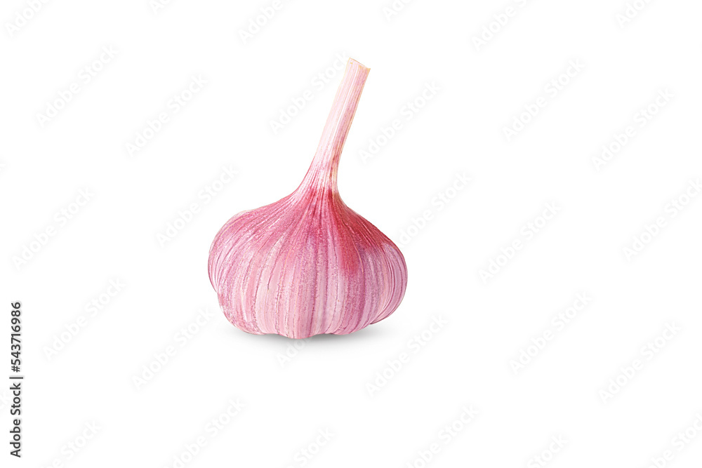 Isolated whole garlic. Fresh garlic with cloves on a white background.