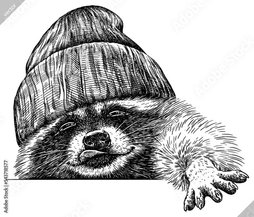 Vintage engrave isolated dressed fashion raccoon set illustration costume cut ink sketch. Wild pet background line glasses hipster hat racoon vector art