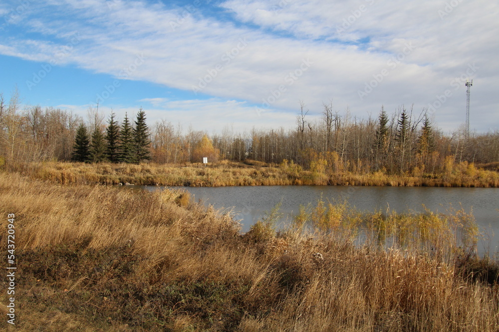 forest lake in autumn, Pylypow Wetlands, Edmonton, Alberta