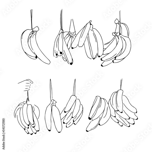 black and white set bunch of bananas sketch