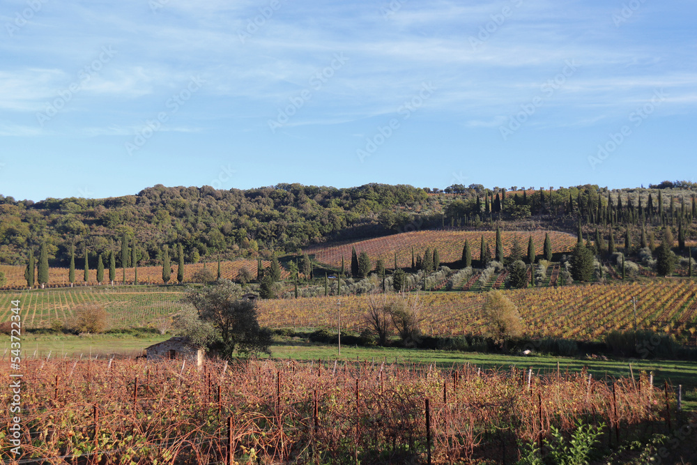 PANORAMA AUTUNNALE IN TOSCANA
