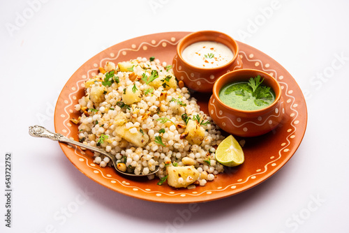 Sabudana Khichadi - An authentic dish from Maharashtra made with sago seeds, served with curd photo