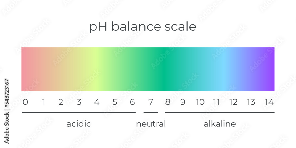 Vector pH scale indicator gradient chart diagram acidic alkaline