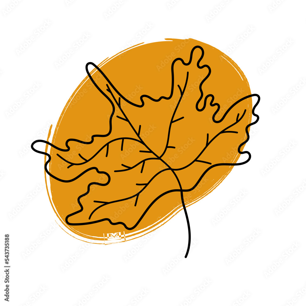 Hand drawn maple leaf with brush stroke vector illustration isolated on ...