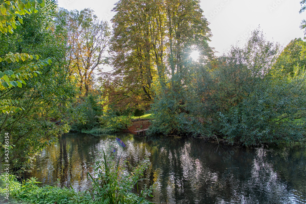 peaceful autumn forest in Germany