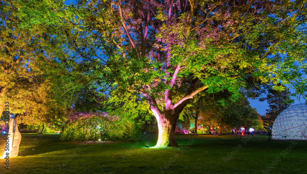 illuminated autumn park Bad Bevensen Germany