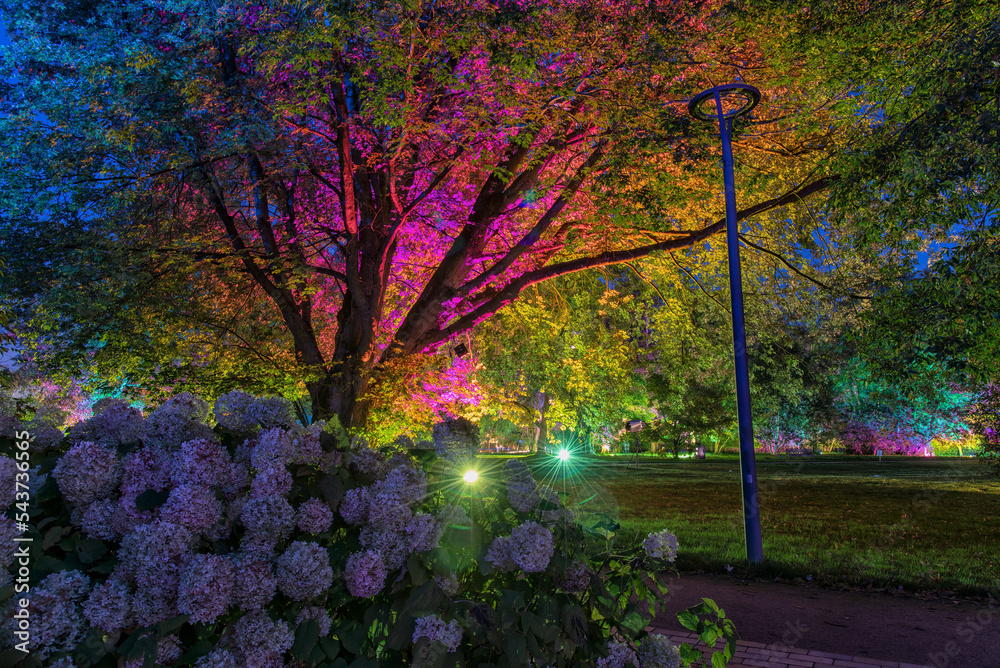 illuminated autumn park Bad Bevensen Germany