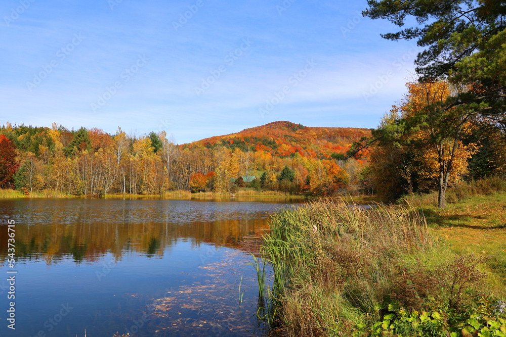 North america fall landscape eastern townships Bromont Quebec province Canada