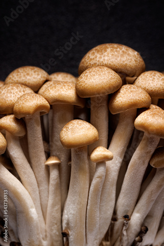 Frying shimeji mushrooms, close up view