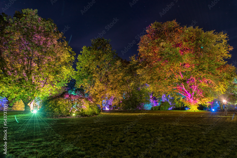 illuminated autumn park Bad Bevensen Germany
