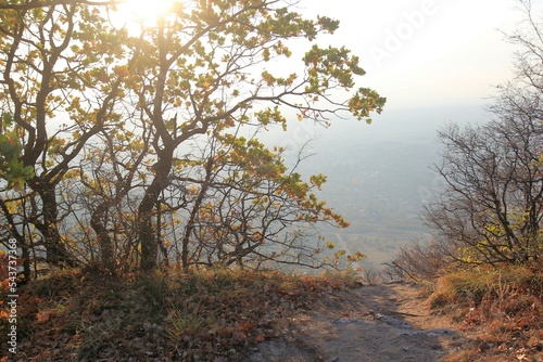 Trees on the rocks and rocks of the Madara area (Bulgaria) in autumn 