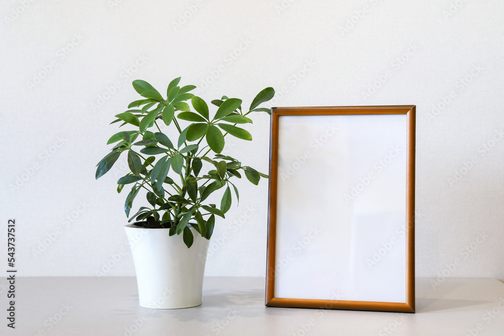Mock up minimalist home interior with empty brown wooden photo frame and potted green house plant Mock up minimalist home interior with empty brown wooden photo frame and potted green house plant