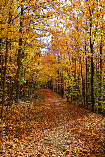 North america fall landscape eastern townships Bromont Quebec province Canada © Daniel Meunier