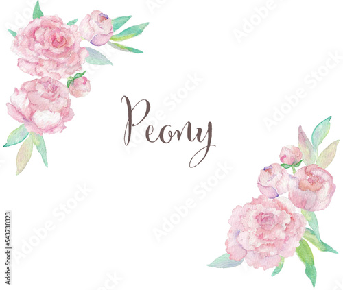 pink peony frame