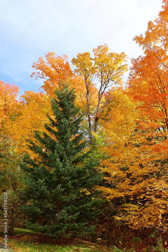 Fall landscape eastern townships Quebec province Canada Fall landscape eastern townships Quebec province Canada
