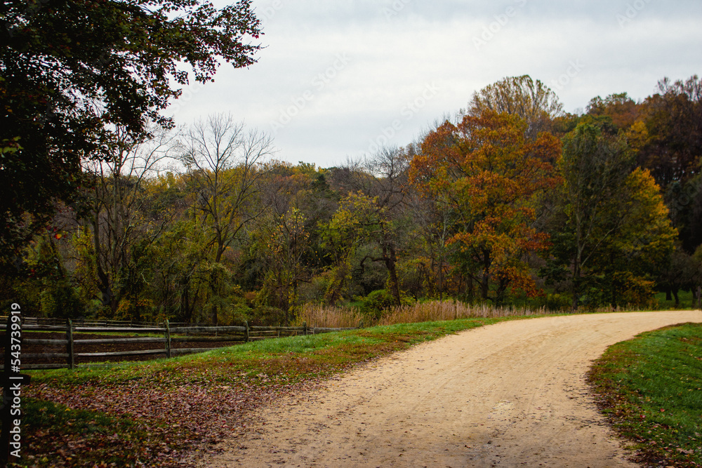Fototapeta premium Dirt road surrounded by colorful trees.