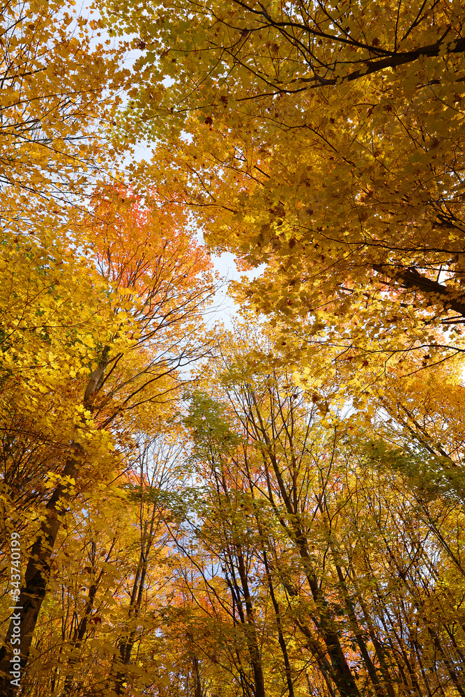 Fall landscape eastern townships Quebec province Canada Fall landscape eastern townships Quebec province Canada