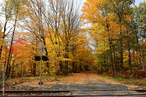 North america fall landscape eastern townships Bromont Quebec province Canada