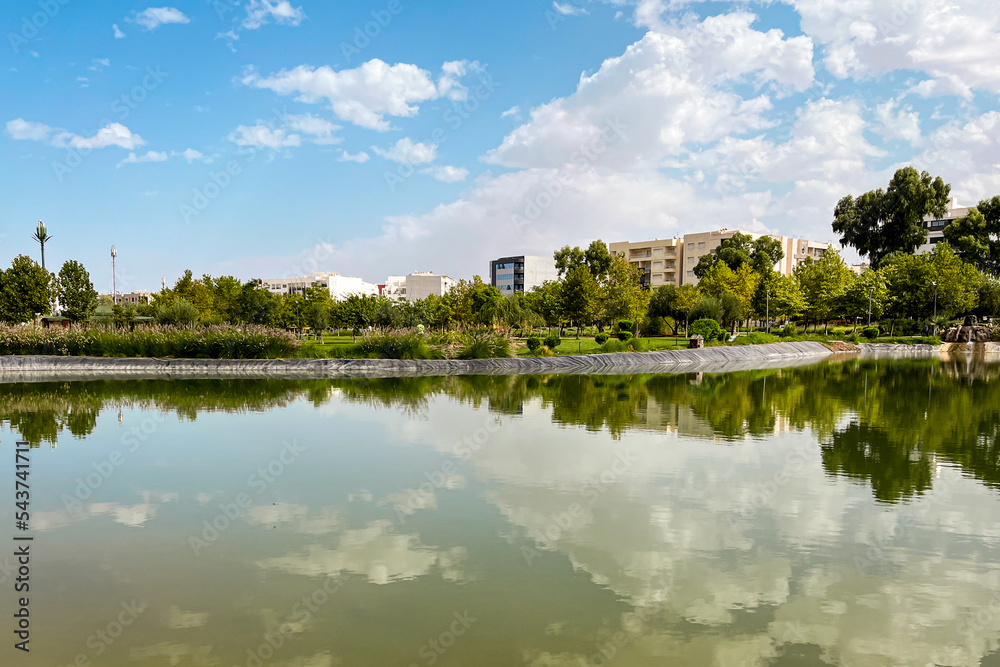 Artificial lake in the middle of an urban park