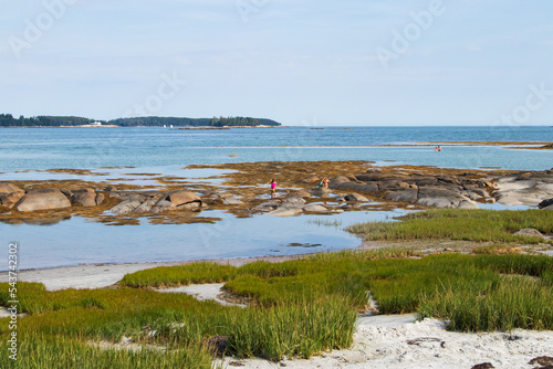 little girl playing on the stones of a rocky, grassy beach with an island in the background