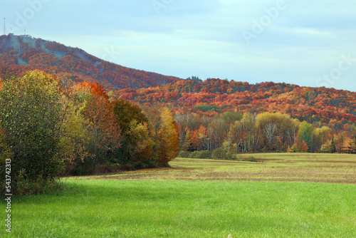 North america fall landscape eastern townships Bromont Quebec province Canada