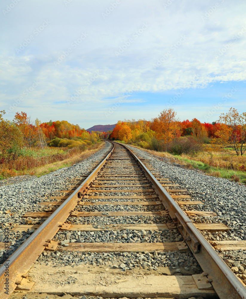 Tracks in fall landscape eastern townships Bromont Quebec province Canada Tracks in fall landscape eastern townships Bromont Quebec province Canada