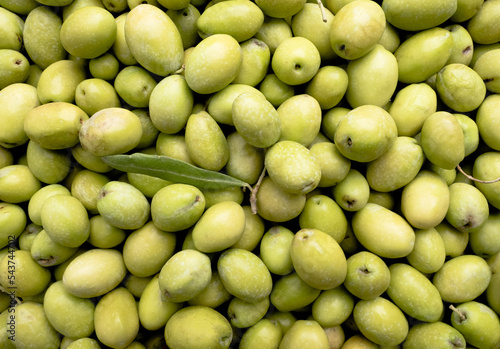 Green olives background, close-up of green olives.