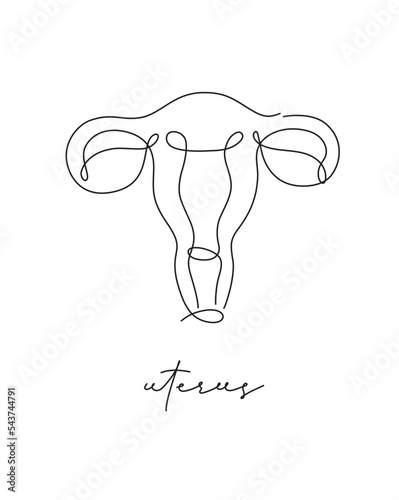 Obraz na płótnie Pen line poster uterus drawing in pen line style on white background w salonie