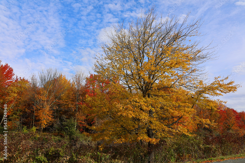Fall landscape eastern townships Quebec province Canada Fall landscape eastern townships Quebec province Canada