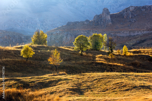 Beautiful colorful autumn panorama with golden light and yellow, orange trees under sunlight in Alakir Valley in Toros Mountains of Antalya.