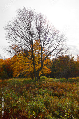 Fall landscape eastern townships Quebec province Canada