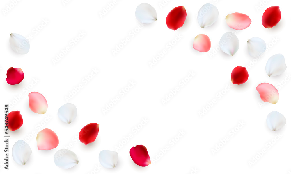 Realistic  elements set of rose petals. PNG on transparent background