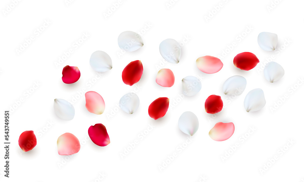 Realistic png elements set of rose petals. Pink and white petals of rose flower. PNG on transparent background Realistic png elements set of rose petals. Pink and white petals of rose flower. PNG on transparent background