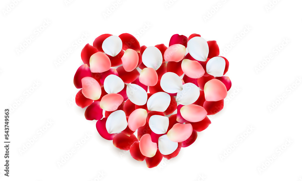 Heart made of red, pink and white rose petals. PNG on transparent background Heart made of red, pink and white rose petals. PNG on transparent background