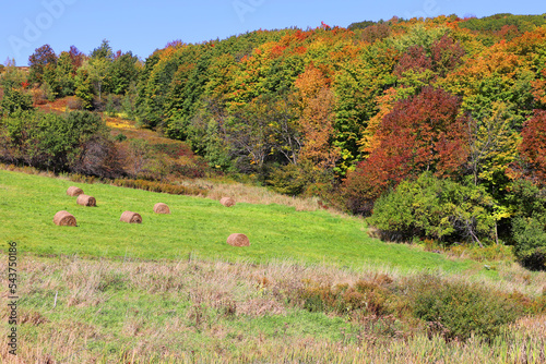 Fall landscape eastern townships Bromont Quebec province Canada