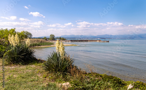 Lakefront view from Peschiera  Lago di garda  Lake Garda   Italy