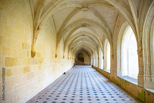 Fontevraud abbey on french loire valley castles photo